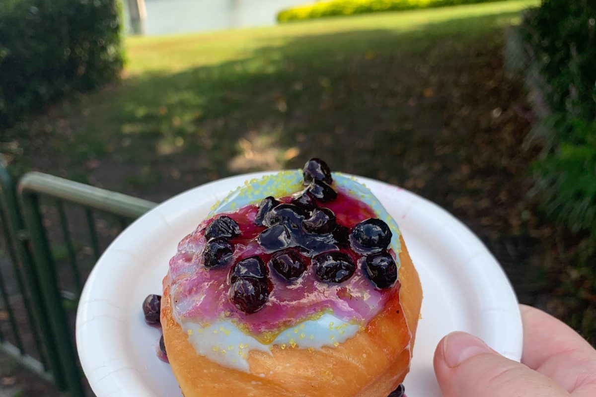 Epcot’s International Food & Wine Festival Booths – The Donut Box